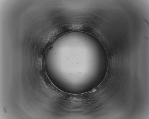 X0000103410739200809191545