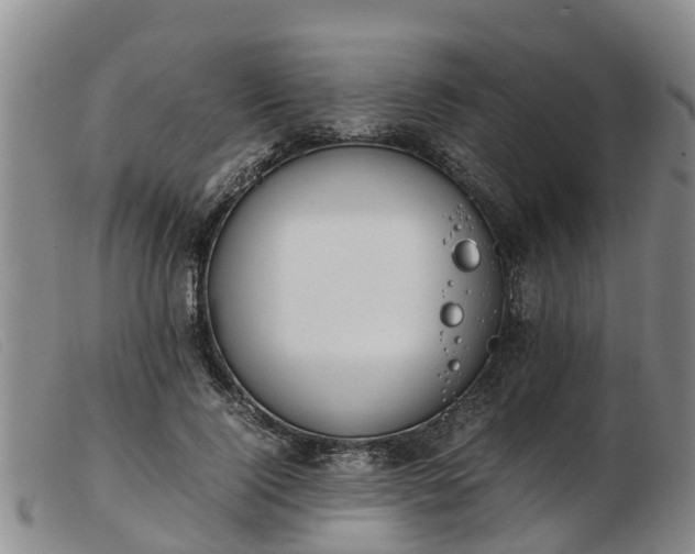 X0000103410740200809191545