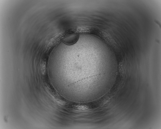 X0000103410741200809191545