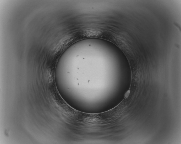 X0000103410743200809191545