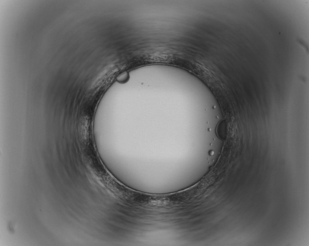 X0000103410744200809191545