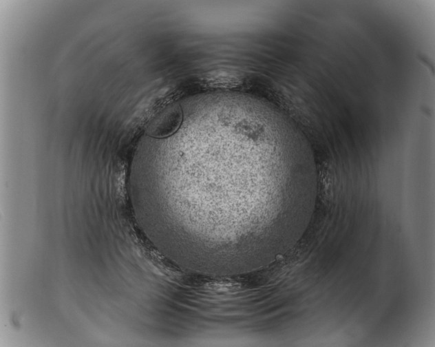 X0000103410745200809191545