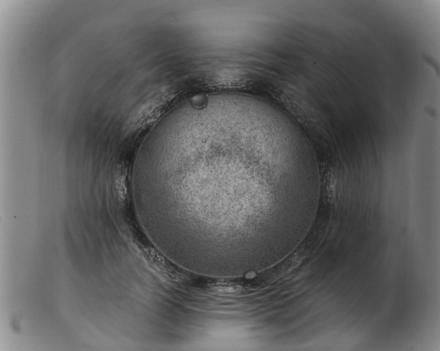 X0000103410746200809191545