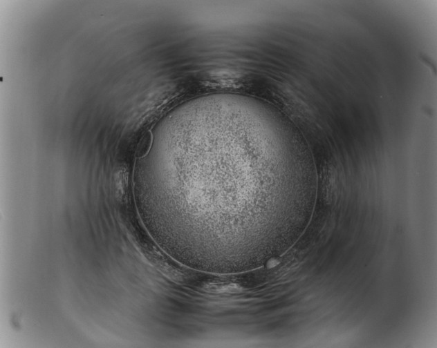 X0000103410747200809191545