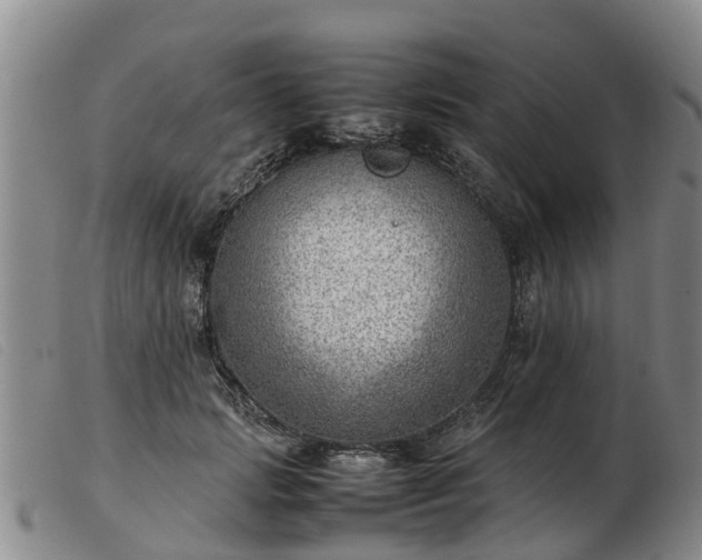 X0000103410749200809191545