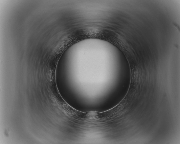 X0000103410750200809191545