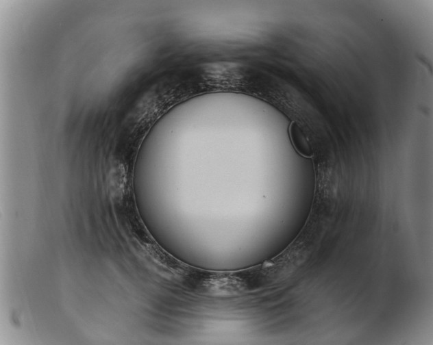 X0000103410752200809191545