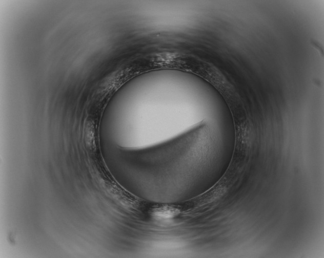 X0000103410754200809191545