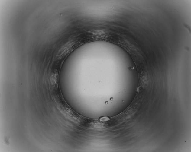 X0000103410756200809191545