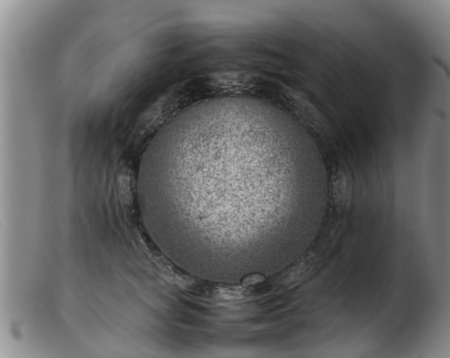 X0000103410757200809191545