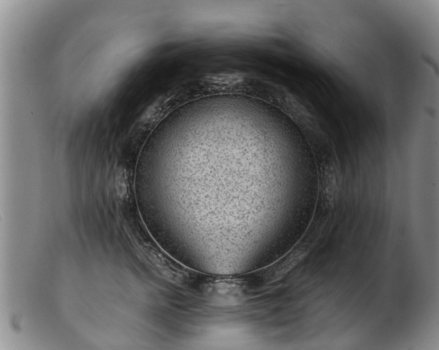 X0000103410758200809191545