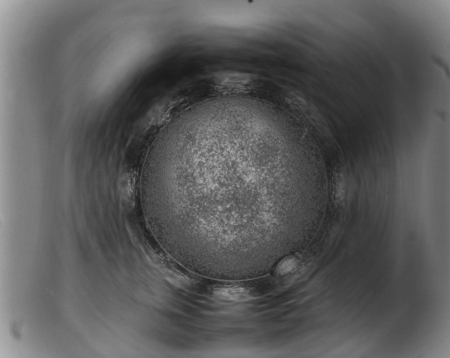 X0000103410759200809191545