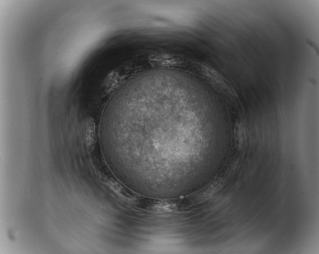 X0000103410760200809191545