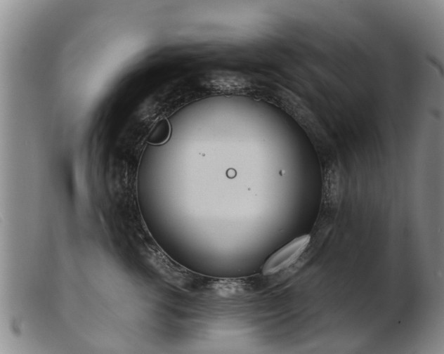 X0000103410762200809191545