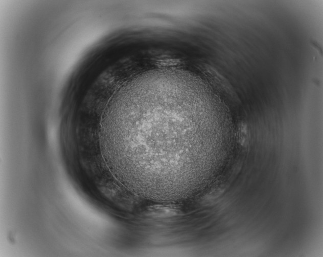 X0000103410763200809191545