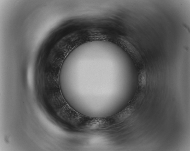 X0000103410764200809191545