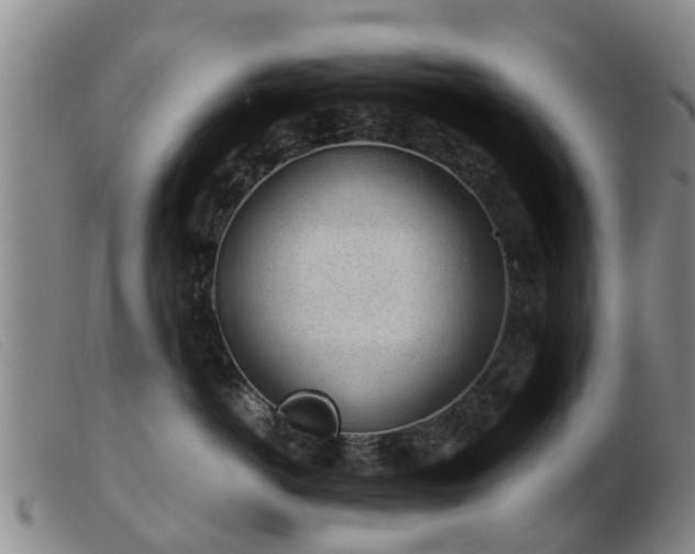 X0000103410766200809191545