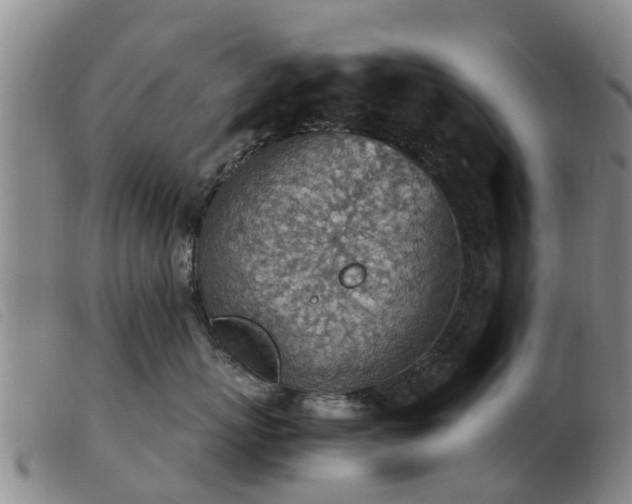 X0000103410767200809191545