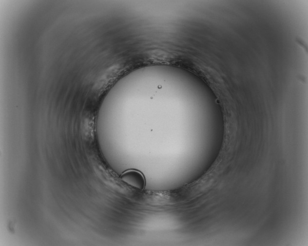 X0000103410768200809191545