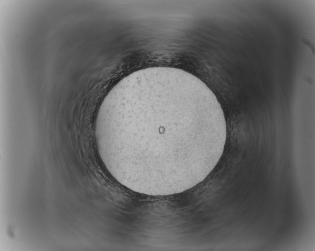 X0000103410769200809191545