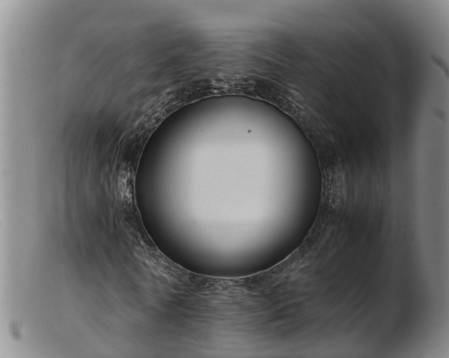 X0000103410770200809191545