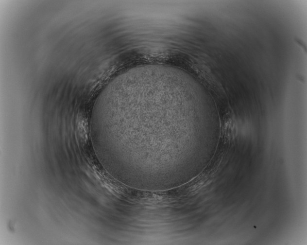 X0000103410772200809191545