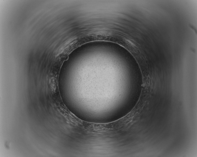 X0000103410774200809191545