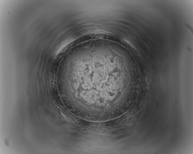 X0000103410775200809191545