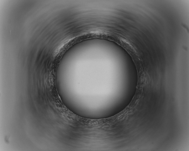 X0000103410776200809191544