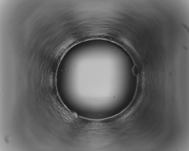 X0000103410777200809191544