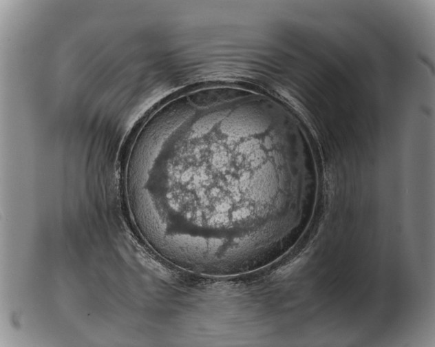 X0000103410779200809191544