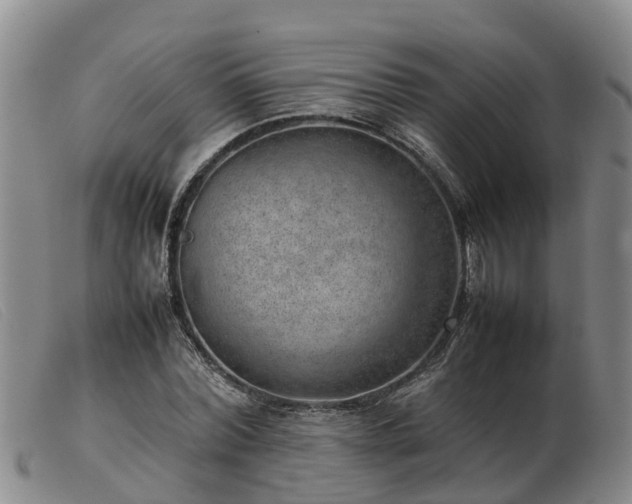 X0000103410780200809191544