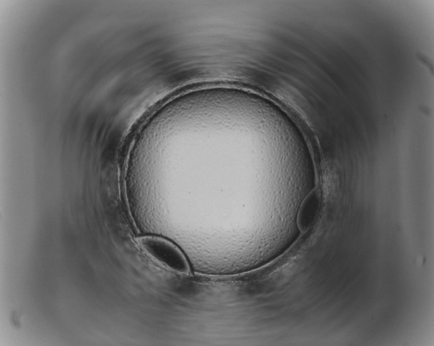 X0000103410781200809191544