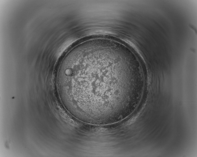 X0000103410783200809191544