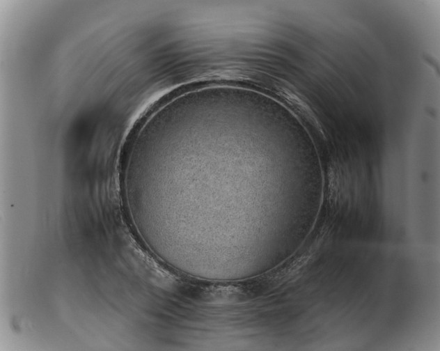 X0000103410784200809191544