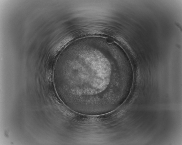 X0000103410785200809191544