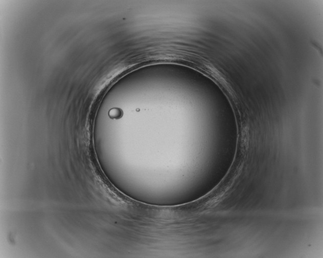 X0000103410787200809191544