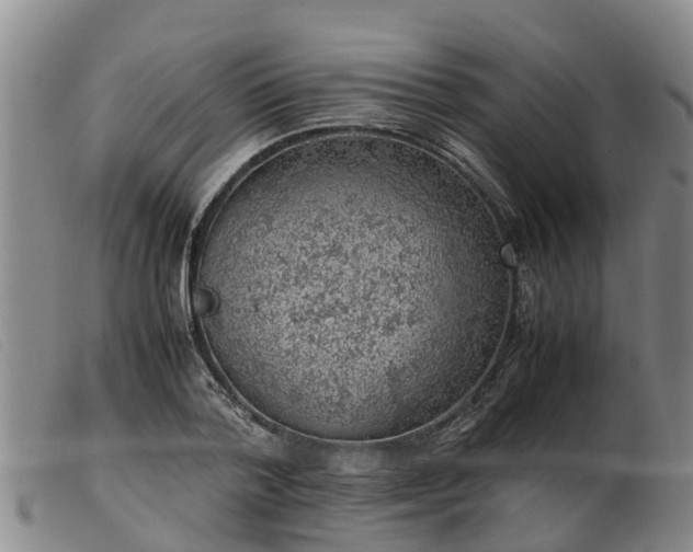 X0000103410788200809191544