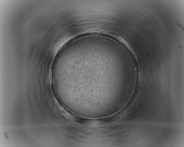 X0000103410791200809191544