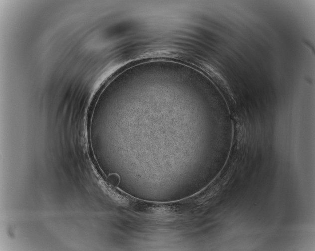 X0000103410792200809191544