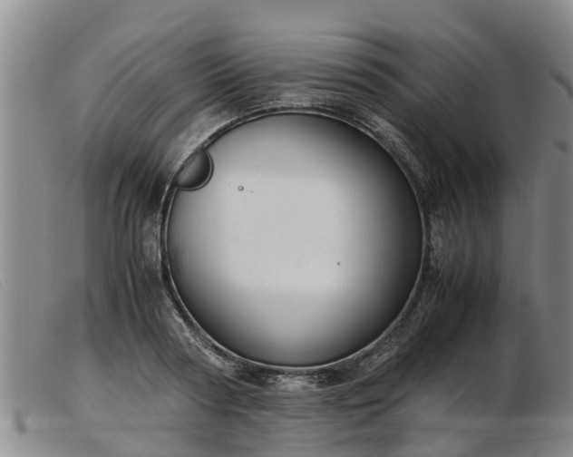 X0000103410794200809191544