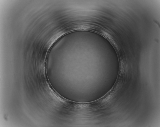 X0000103410802200809191544