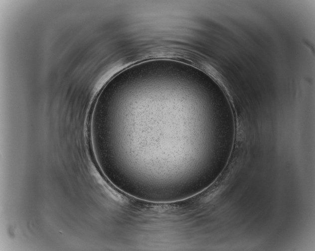 X0000103410803200809191544