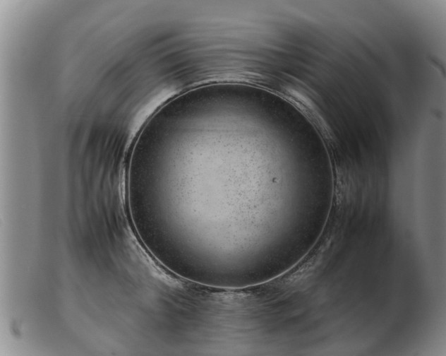 X0000103410804200809191544