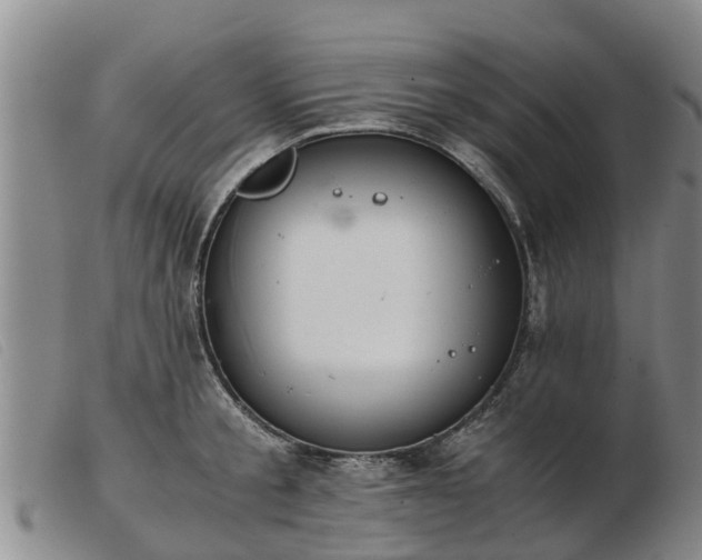 X0000103410805200809191544