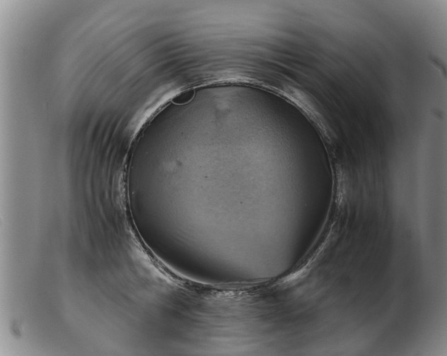 X0000103410806200809191544