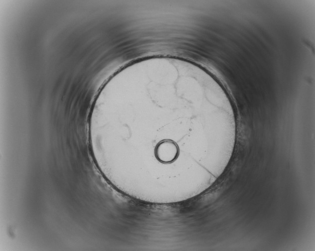 X0000103410807200809191544