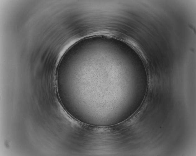 X0000103410808200809191544