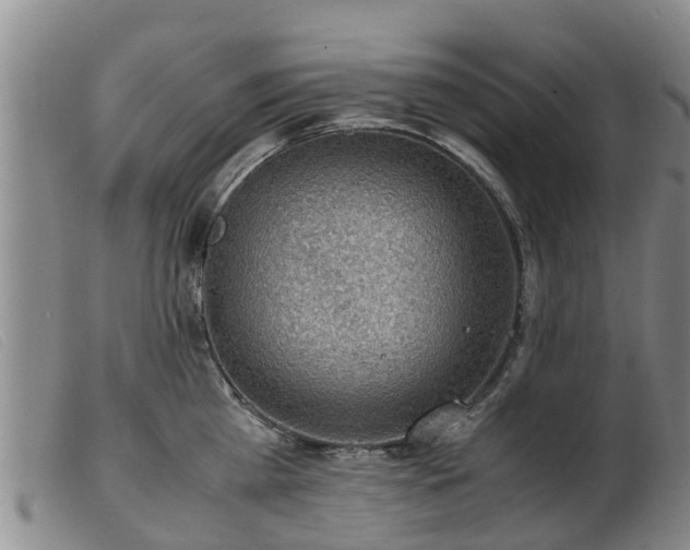 X0000103410809200809191544