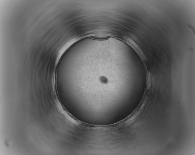 X0000103410812200809191544